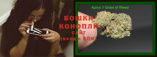 сатива Абдулино