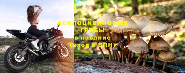 кокс Алексеевка