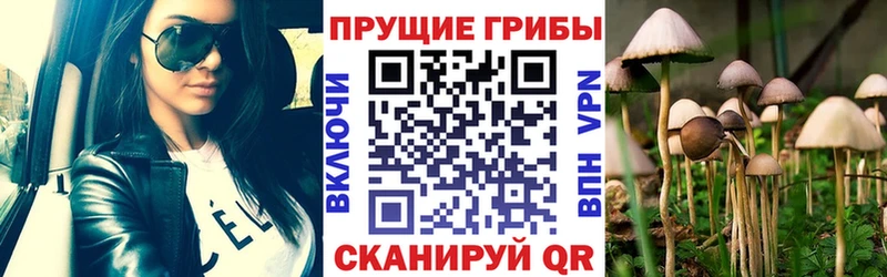 как найти наркотики  Рубцовск  Галлюциногенные грибы Cubensis 